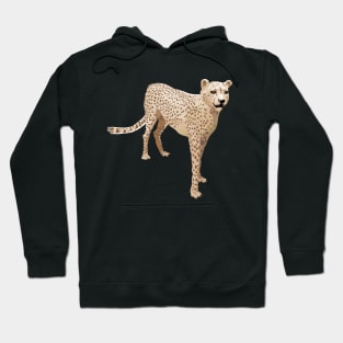 Cheetah  Colored Hoodie